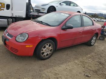  Salvage Dodge Neon