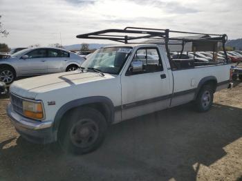  Salvage Dodge Dakota