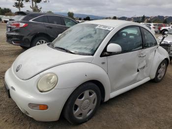  Salvage Volkswagen Beetle