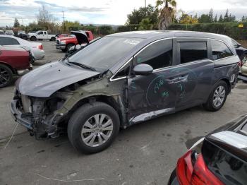  Salvage Honda Odyssey