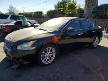  Salvage Nissan Maxima