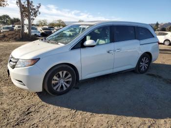  Salvage Honda Odyssey