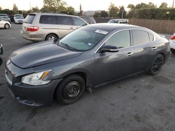  Salvage Nissan Maxima