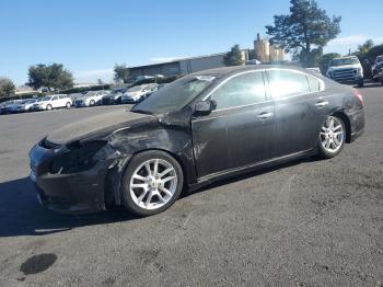  Salvage Nissan Maxima