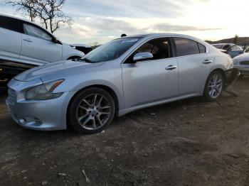  Salvage Nissan Maxima