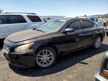  Salvage Nissan Maxima