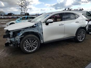  Salvage Lexus NX