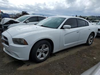  Salvage Dodge Charger