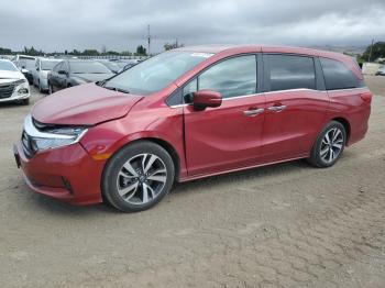  Salvage Honda Odyssey