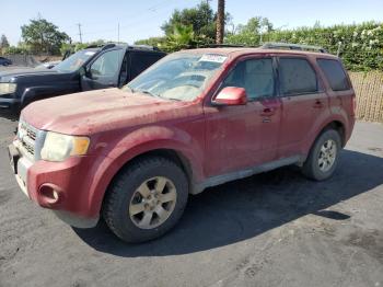  Salvage Ford Escape
