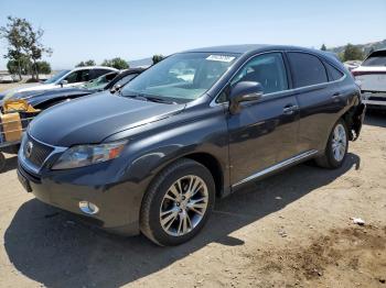  Salvage Lexus RX