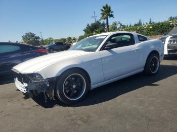  Salvage Ford Mustang