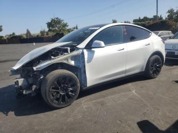  Salvage Tesla Model Y
