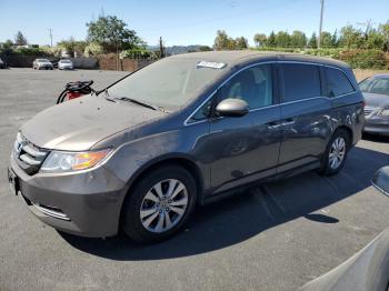  Salvage Honda Odyssey
