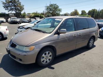  Salvage Honda Odyssey