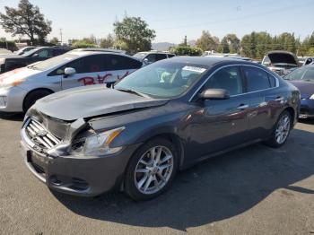  Salvage Nissan Maxima