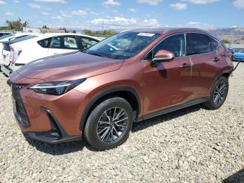 Salvage Lexus NX