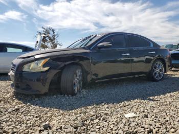  Salvage Nissan Maxima