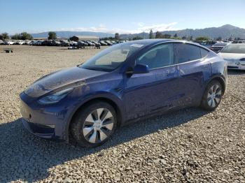  Salvage Tesla Model Y