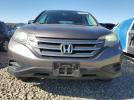 Honda Crv Lx Image 8