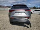 Lexus NX 350h Base Image 2