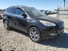 Ford Escape Sel Image 7
