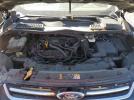 Ford Escape Sel Image 6