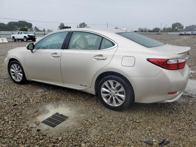 Lexus Es 300h Image 10