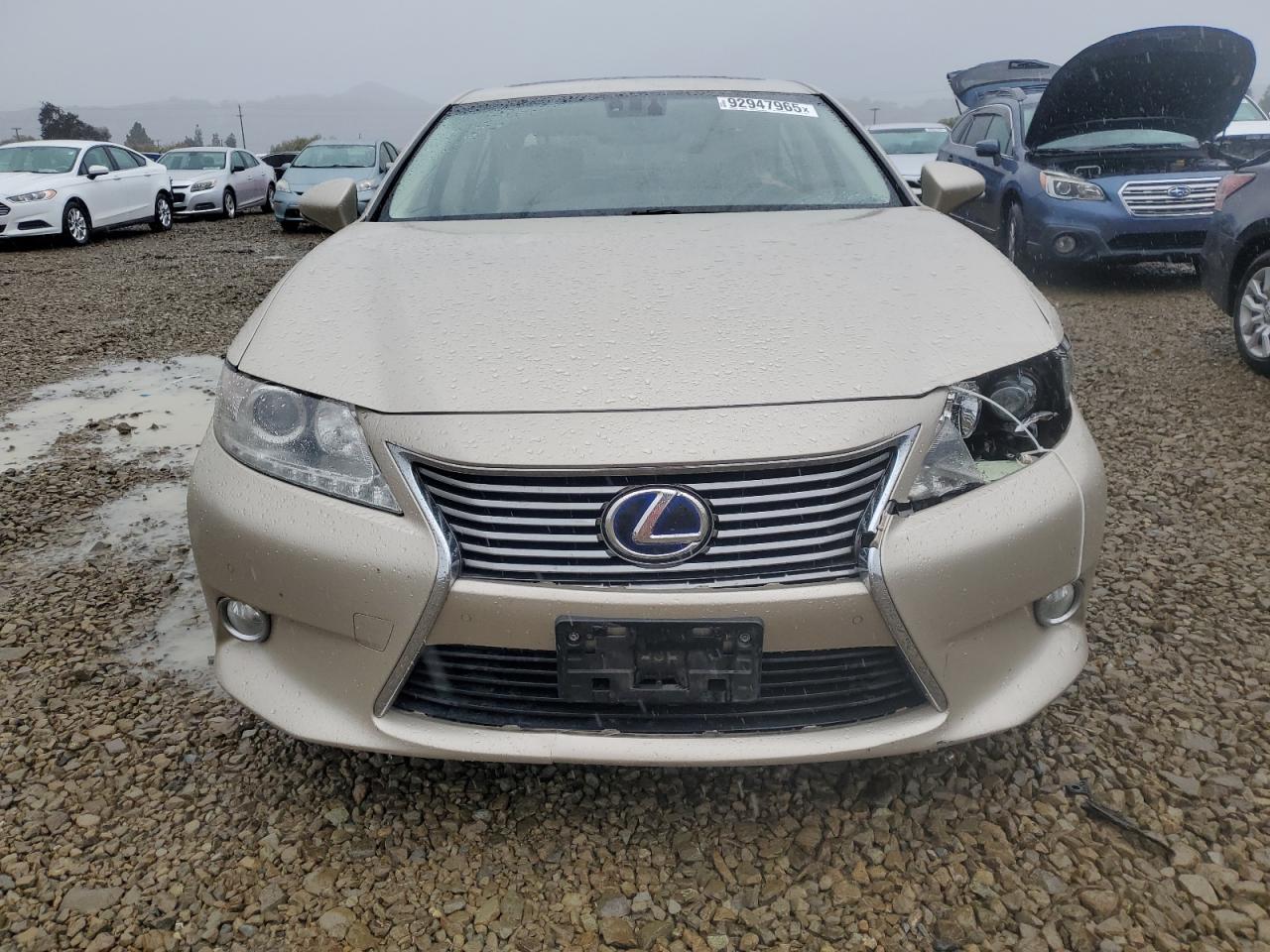 Lexus Es 300h Image 5