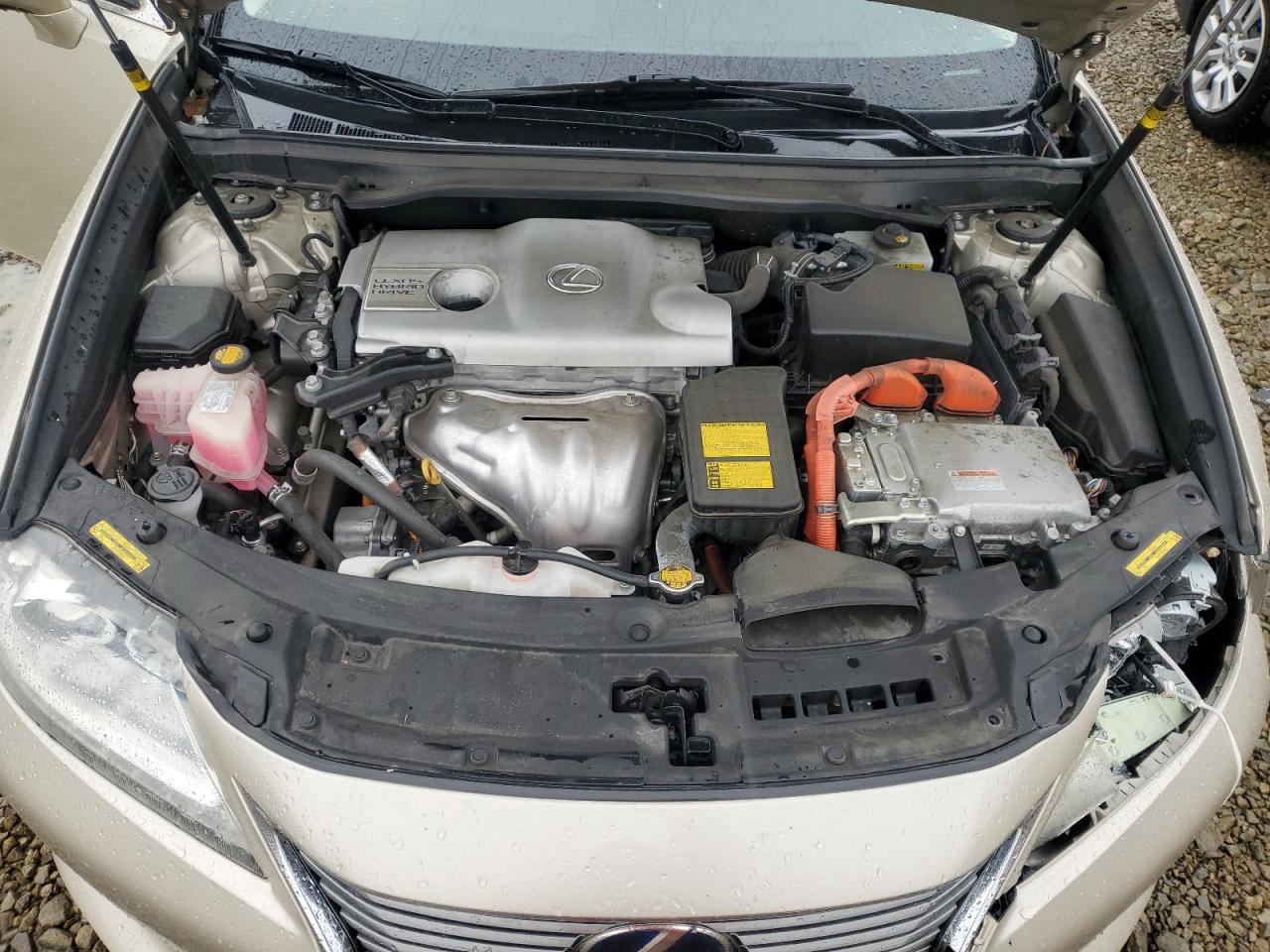 Lexus Es 300h Image 6