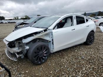  Salvage Tesla Model Y