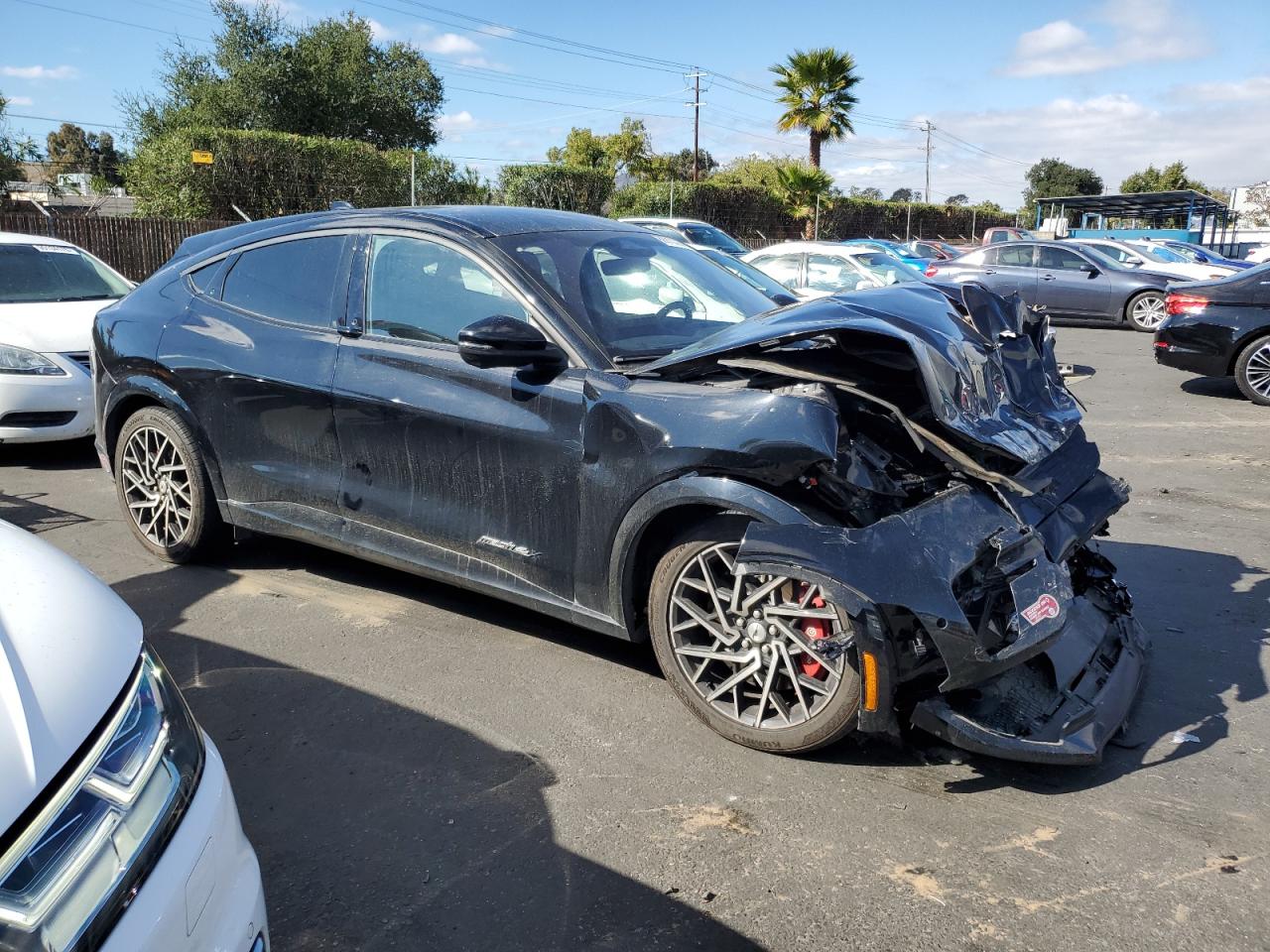 Ford Mustang Gt Image 6
