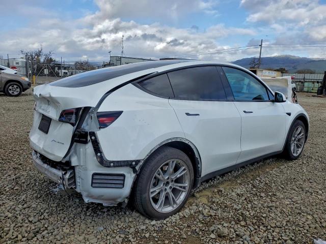 Tesla Model Y Image 12