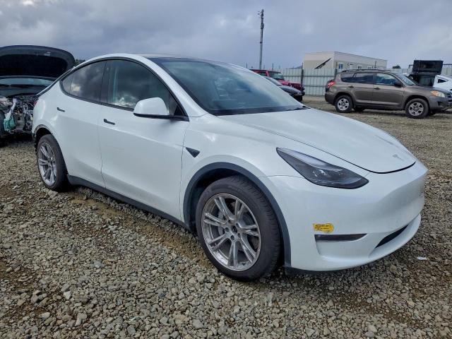 Tesla Model Y Image 3