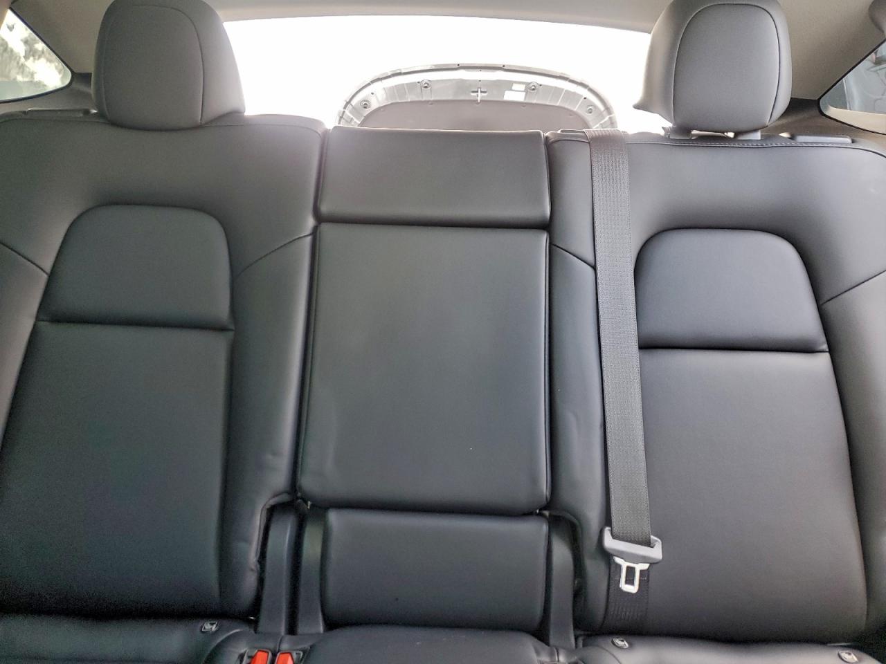 Tesla Model Y Image 6