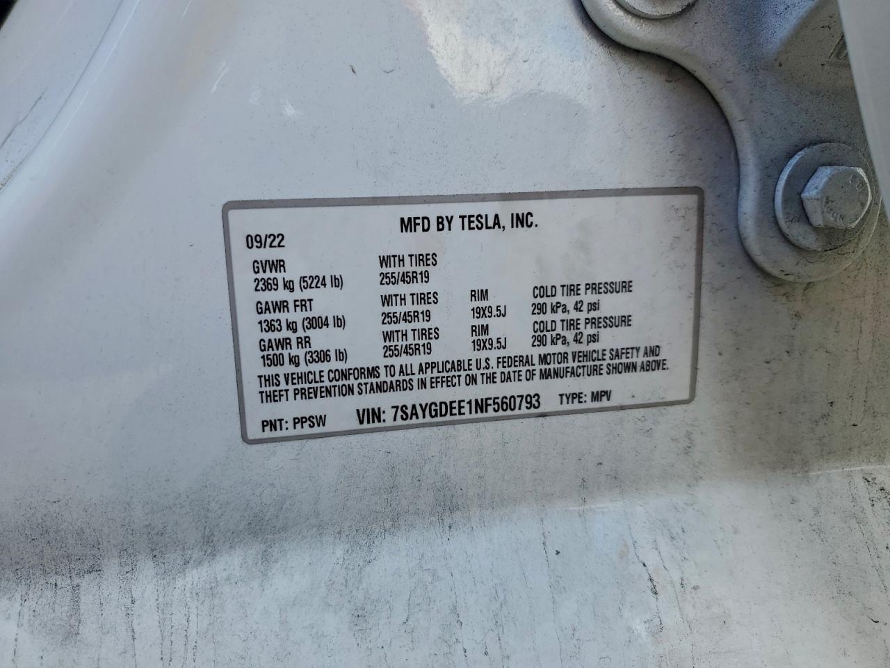 Tesla Model Y Image 2