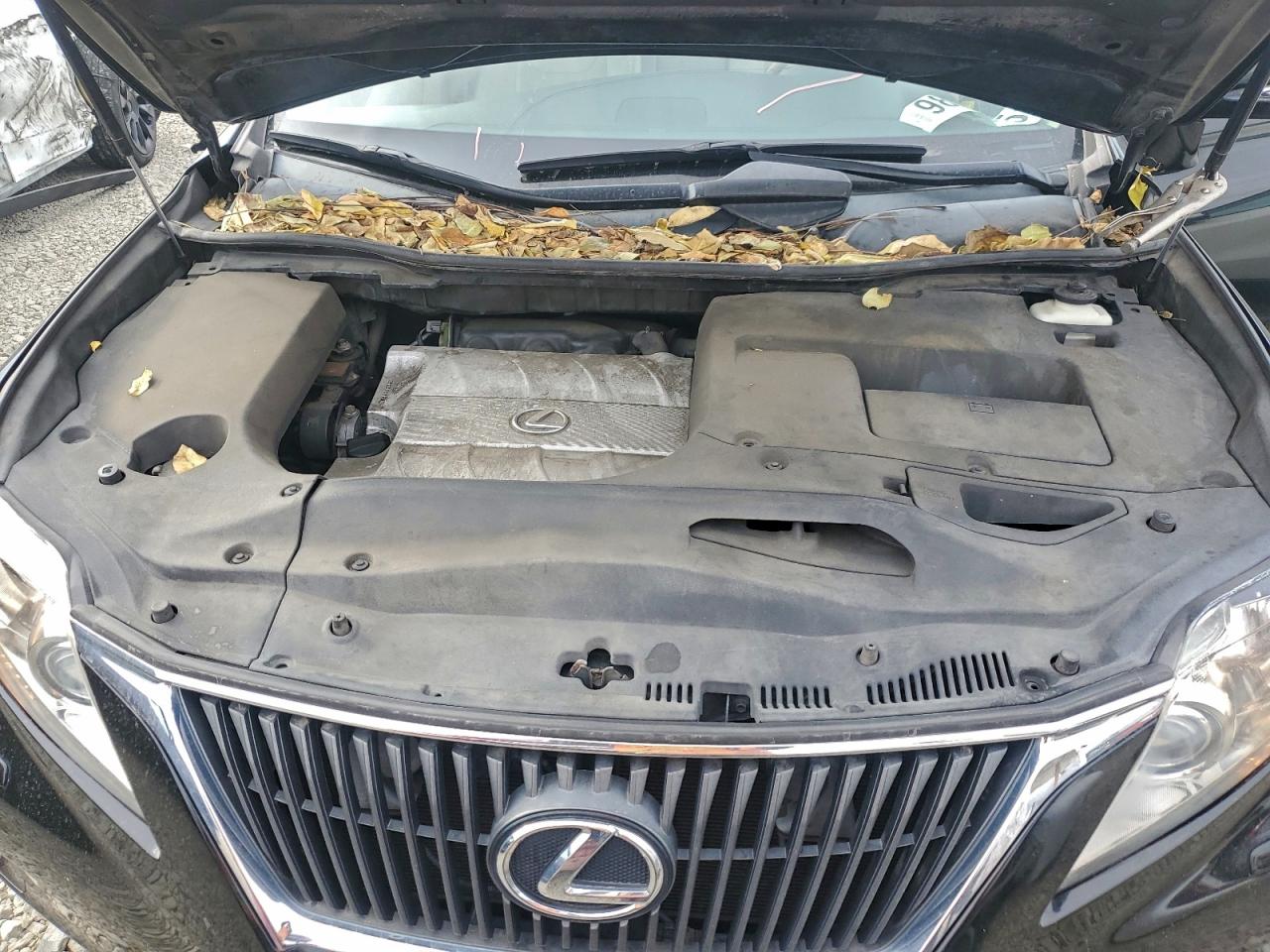 Lexus RX 350 Image 11