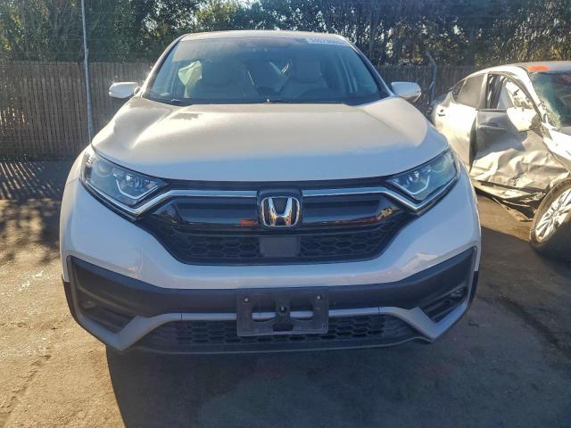 Honda Crv Exl Image 3