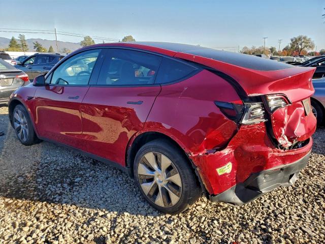 Tesla Model Y Image 3