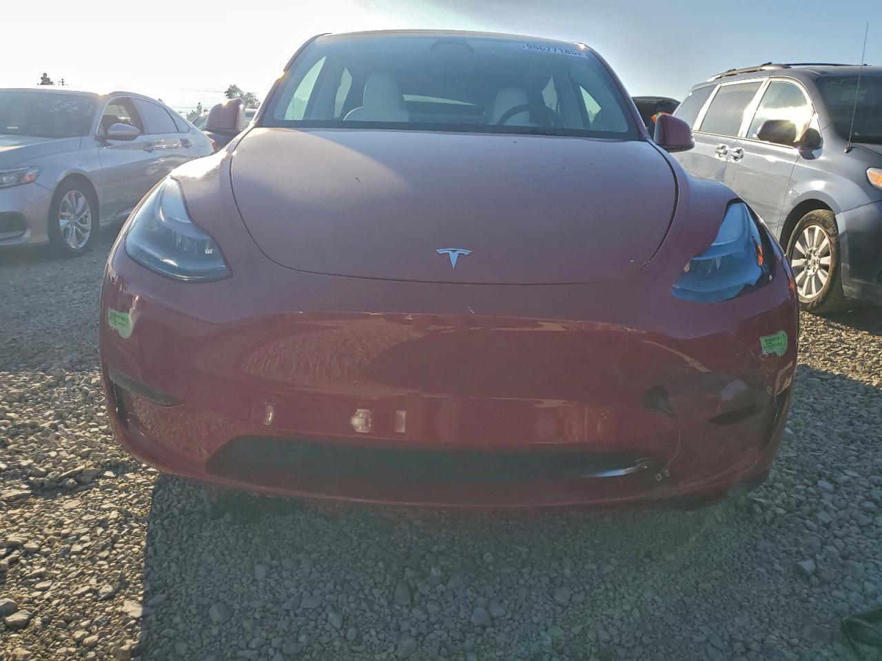 Tesla Model Y Image 5