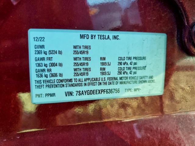 Tesla Model Y Image 13