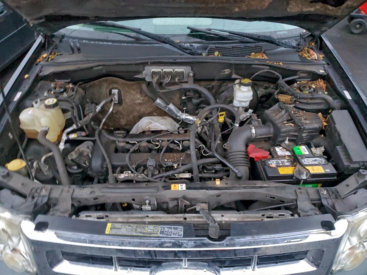 Ford Escape Xls Image 2