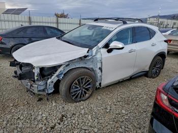  Salvage Lexus NX