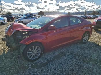  Salvage Hyundai ELANTRA