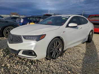  Salvage Acura TLX