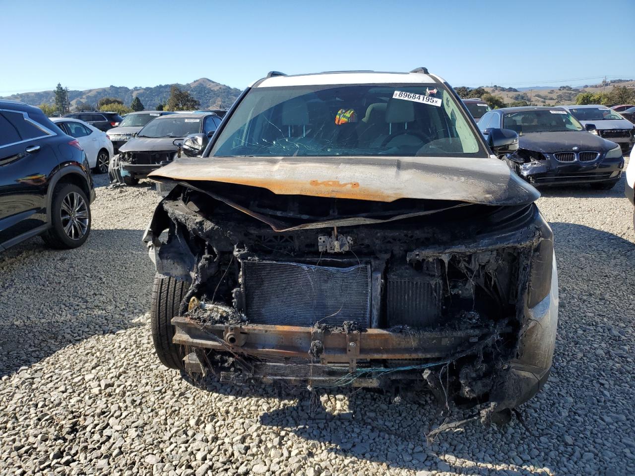 Kia Carnival Sx Image 6