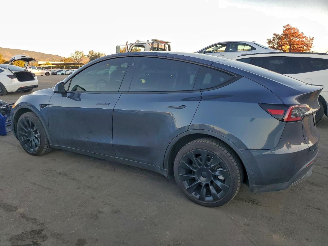 Tesla Model Y Image 6