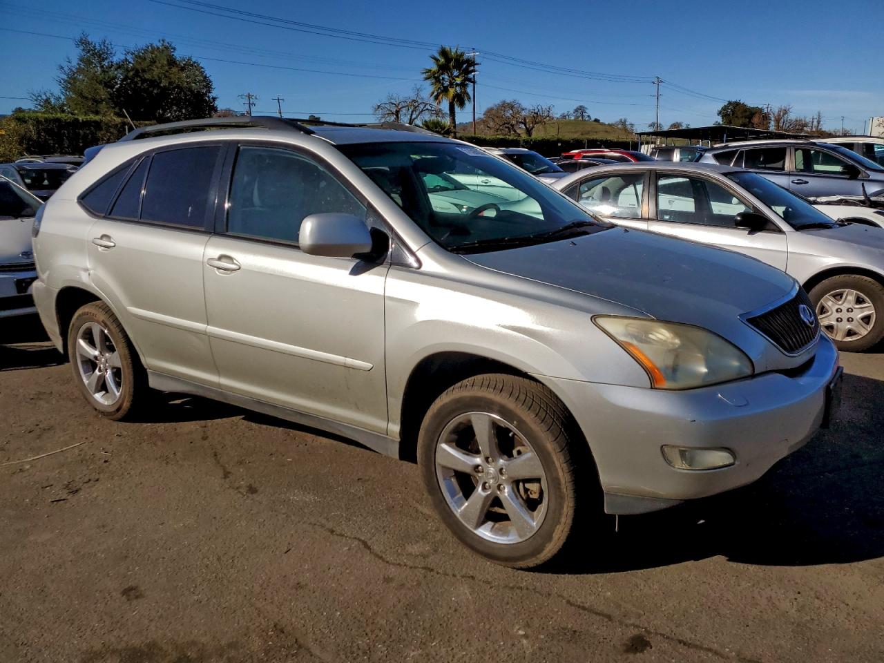 Lexus RX 330 Image 4