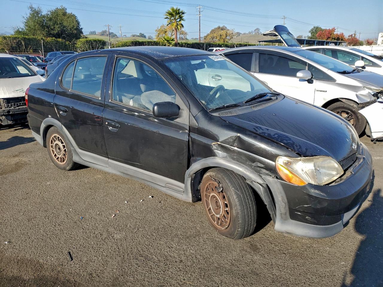 Toyota ECHO Image 11